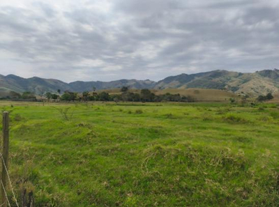 Imóvel Rural com Área Total de 108.416 M2- em Guiricema/MG