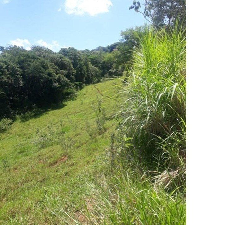 Gleba de terras, A.T. 60 ha, Colônia Muquilão