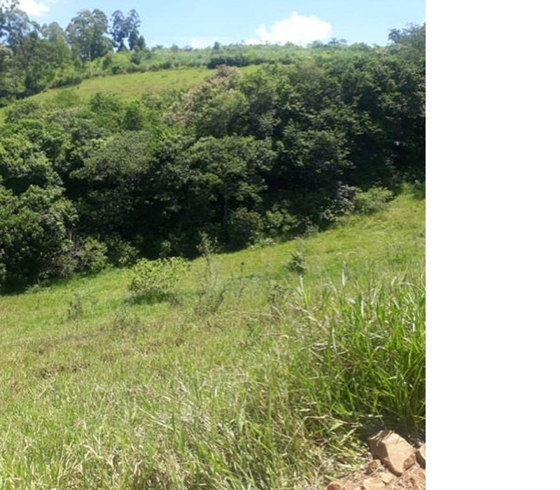 Gleba de terras, A.T. 60 ha, Colônia Muquilão — foto 4