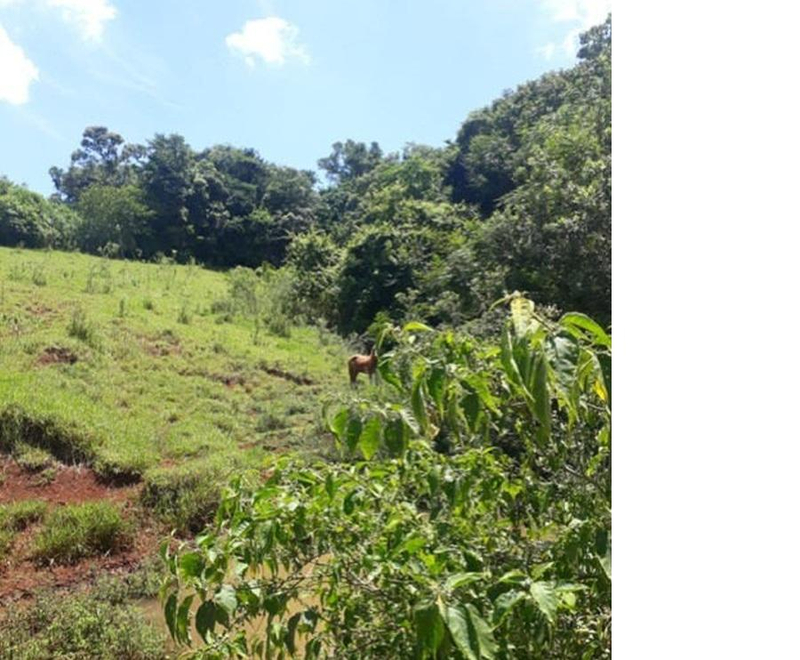 Gleba de terras, A.T. 60 ha, Colônia Muquilão — foto 5