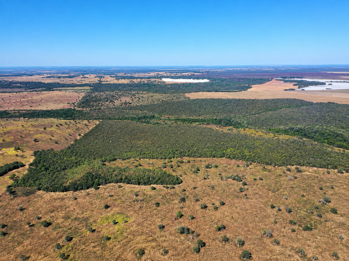 LOTE 2: Área Rural com 150ha - Fazenda Novo Horizonte - (02) NOVO SÃO JOAQUIM MT