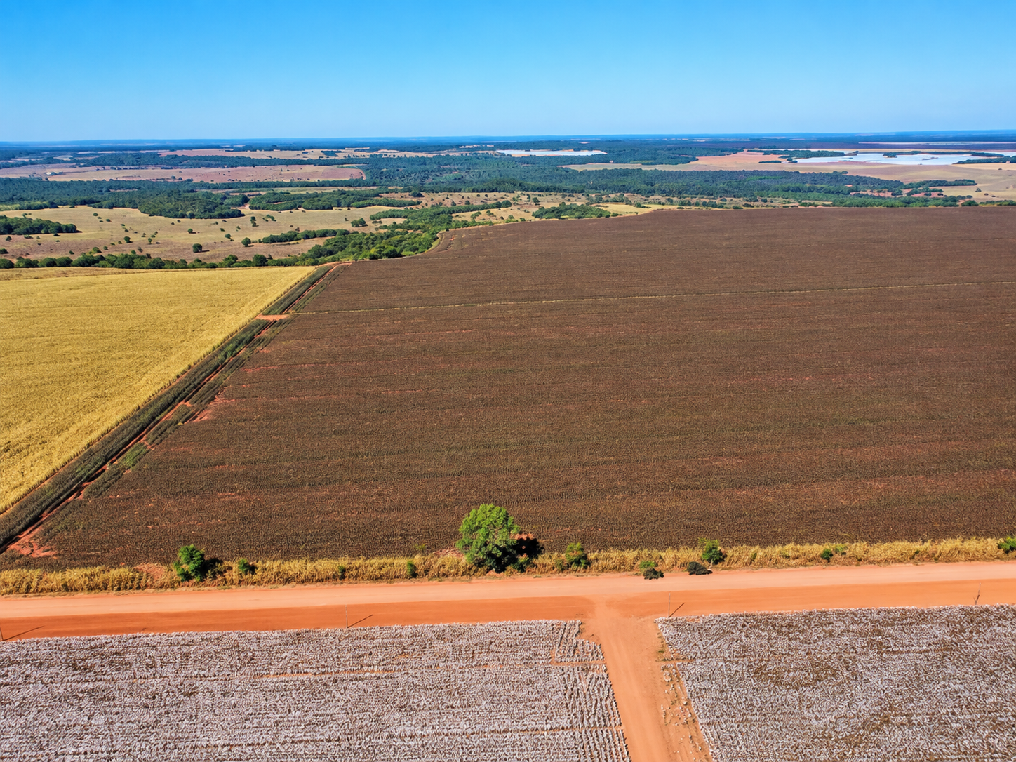 LOTE 2: Área Rural com 150ha - Fazenda Novo Horizonte - (02) NOVO SÃO JOAQUIM MT — foto 3