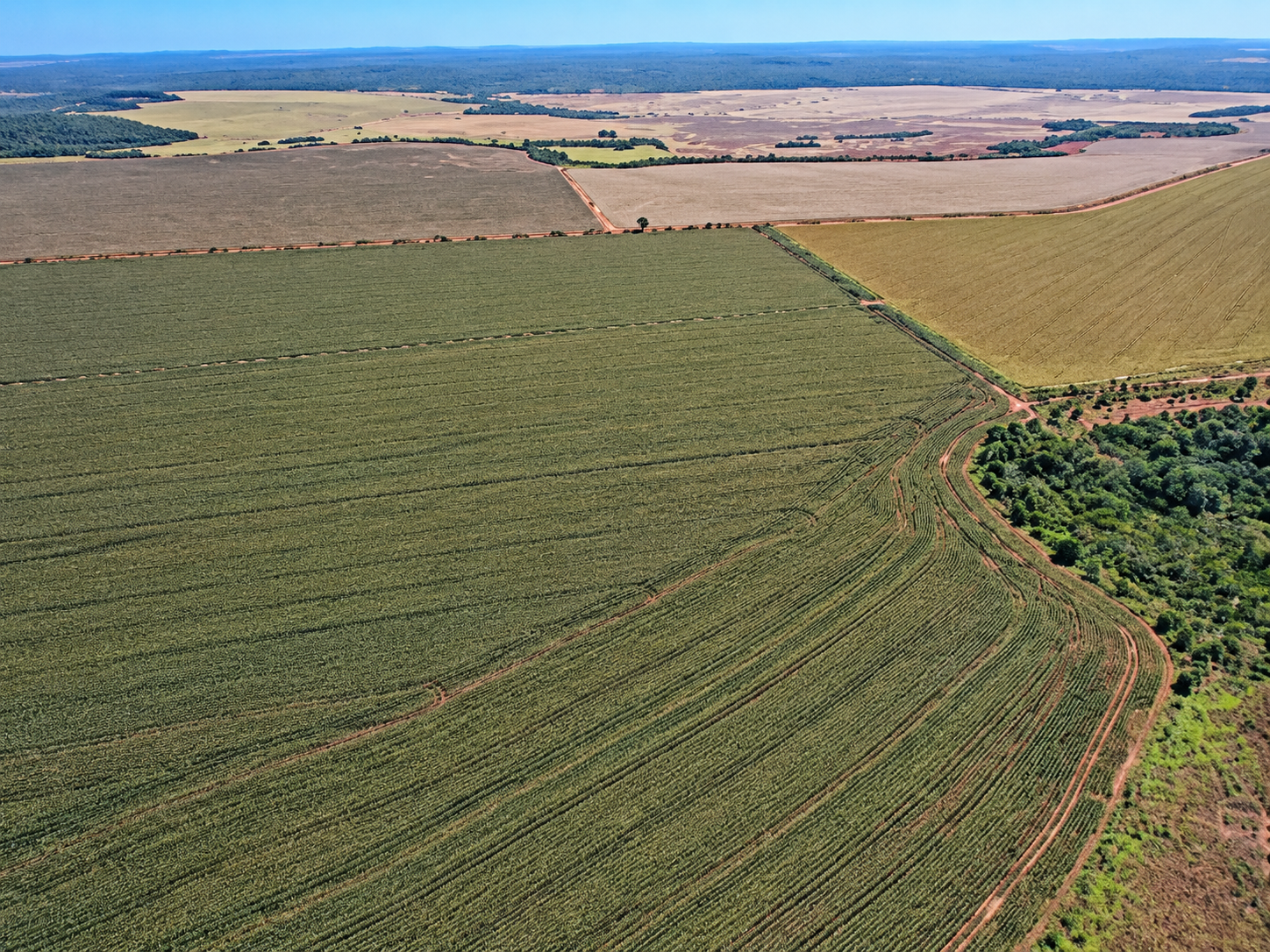 LOTE 2: Área Rural com 150ha - Fazenda Novo Horizonte - (02) NOVO SÃO JOAQUIM MT — foto 4