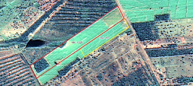 Área Rural C/ 33 Hac + Casa C/ 92 M² + Área Rural C/ 11,500 Hac - Terenos / Ms — foto 5