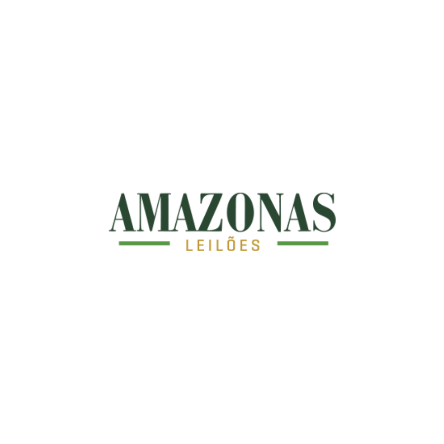 1 Lote de Terras | Área total de 50.000,00m² | Estrada da Boa Vontade, KM 06 | Tefé/AM 3 Imóveis | Tefé/AM