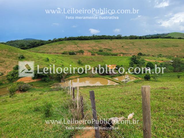 Patrocínio do Muriaé (Mg): Imóvel R. 42,02 Ha