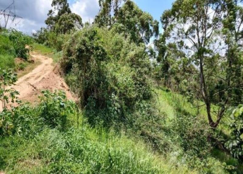 LOTE 002 Terreno na Rua Americana, Lote A, Fazenda Belém e Cachoeira, área de 22.487m², Francisco Mo — foto 4