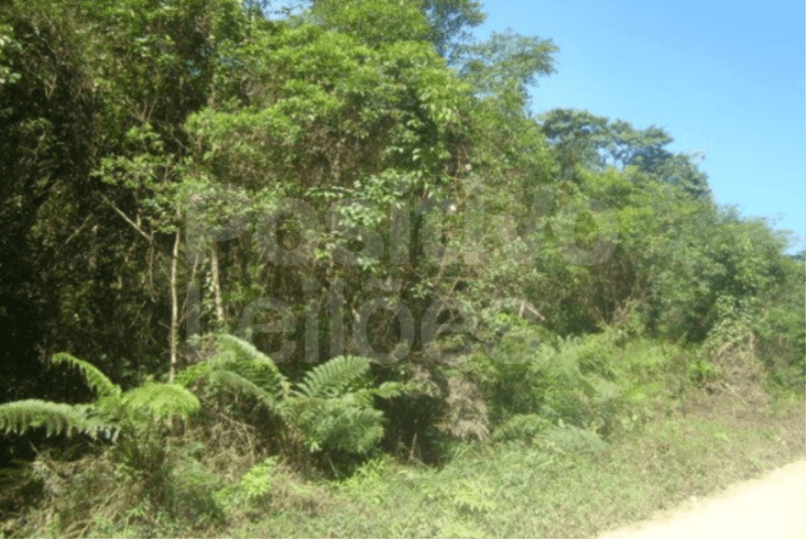 1/3 de Terreno com 19.26.00ha - Sete Barras/SP — foto 2