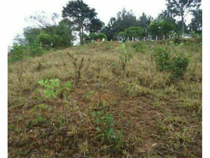 Terreno à venda — foto 3