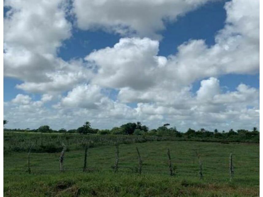 Terreno à venda — foto 2