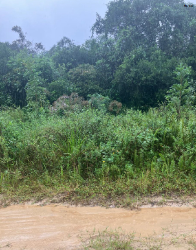 LOTE 001 Imóvel em Itanhaém/SP - Colônia de Férias de Feirantes de São Paulo