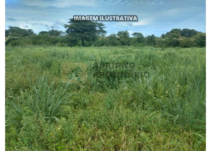 Fazenda Mucambo 159,76 hectares Leilão - Fazenda em Lagoa dos Patos