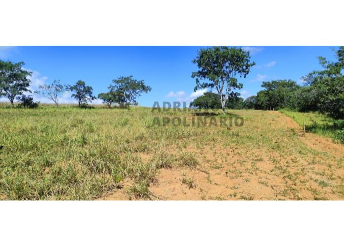 Fazenda São Brás e Almas de 485 ha Leilão Judicial - Fazenda de 485 hectares