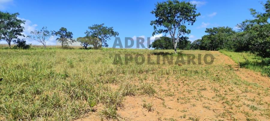 Fazenda São Brás e Almas de 485 ha Leilão Judicial - Fazenda de 485 hectares — foto 3