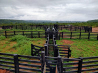 Fazenda São Bento c/ 16.040 hectares - Alto Parnaíba/MA — foto 2