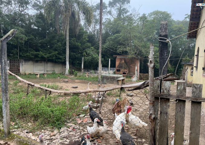 LOTE 1: Chácara com 27.200m² (AT) - Cipó EMBU-GUAÇU SP — foto 4