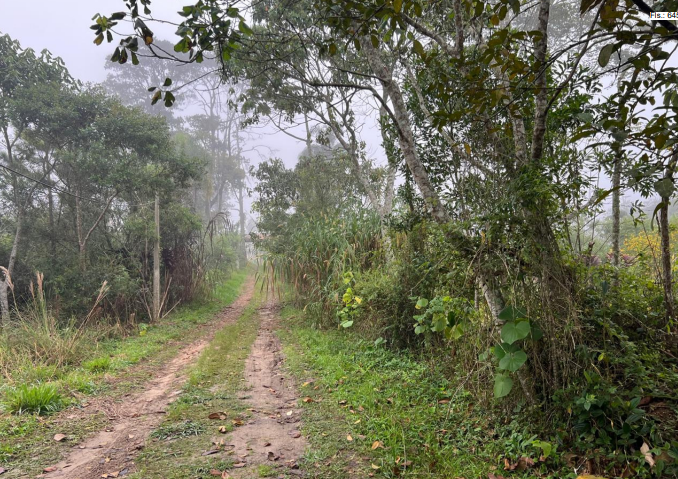 LOTE 1: Chácara com 27.200m² (AT) - Cipó EMBU-GUAÇU SP — foto 5