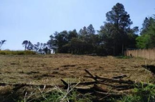 Lote de Terreno, 2.000,00m², Loteamento Royal Park, Avaré/SP — foto 2