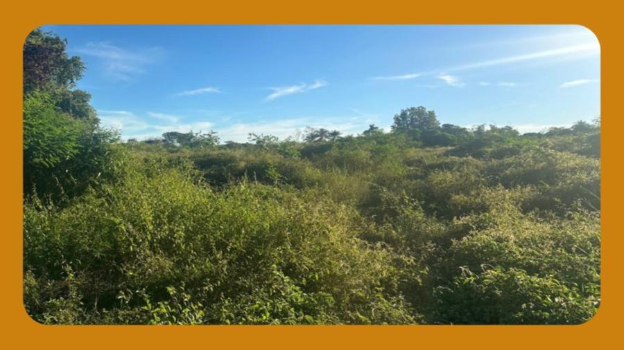 Parte da Área N°6, Situada no Lugar Denominado Fazenda Barra da Onça, no Municipio de Governador Valadares/mg.__