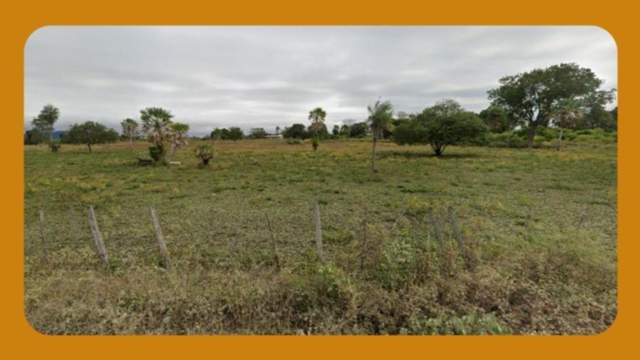 Uma Faixa de Terra, Correspondente a Uma Pequena Propriedade, Encravada no Imóvel Rural, Denominado de Pilões, no Município de Patos/pb, com Área de 1 Hectare. Está Cercada com Cercas de Arame e Madeira. __