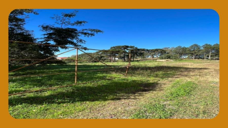 Uma Área de Terras Formada por Dois Terrenos, Situado na Rua Jacob Dossin, Forqueta, Caxias do Sul/rs, com 5.600,00m2.__
