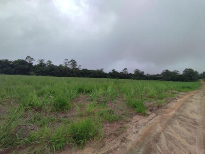 Terreno Rural - Sitio Palmeirinha com Área Total de 6,09ha - São Pedro/SP — foto 2