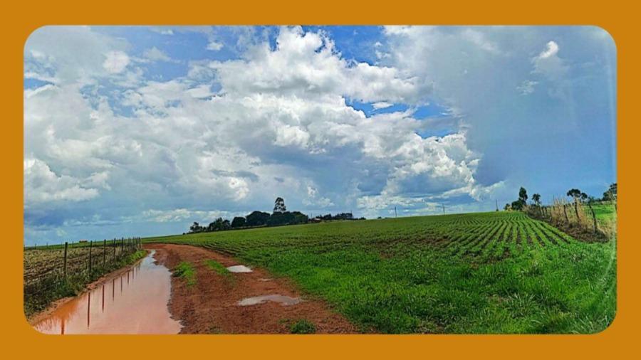 Lote de Terreno N°12, na Quadra 413, Sem Benfeitorias, do Loteamento São Gabriel de Goiás, na Rua 19, Planaltina Goiás/go. com Área Total de 518,40 M².__