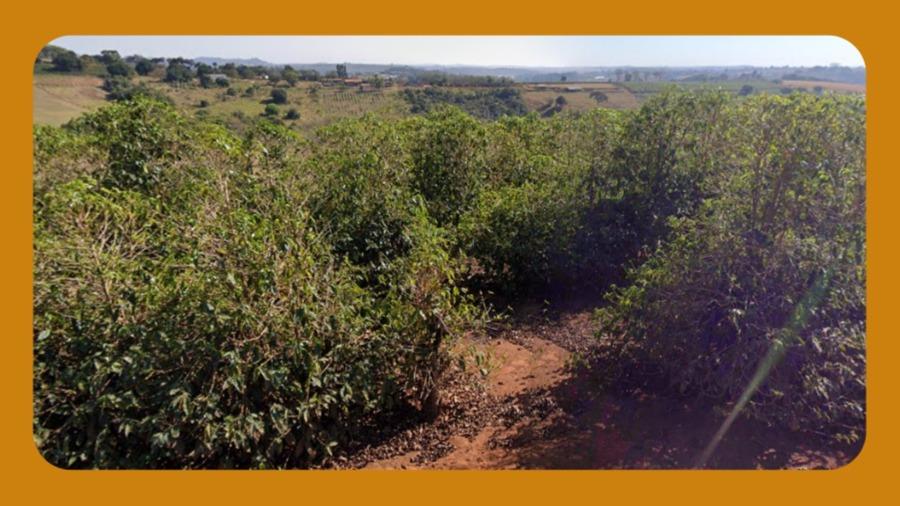Uma Parte de Terras, no Lugar Fazenda Santa Amália, Machado/mg. com Área de 20,77 Hectares, Possuindo Uma Casa de Morada de Aproximadamente 150,00m², e Cerca de 25.000 Pés de Café Plantados em Ladeira. __