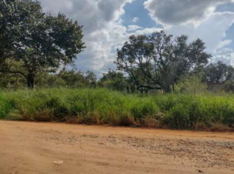 LOTE 001 Terreno com área de 6.000m², Bairro do Pinhal, Vila Curuçá, Itapetininga/SP