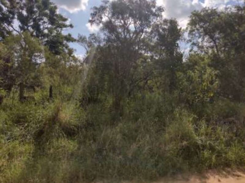 LOTE 001 Terreno com área de 6.000m², Bairro do Pinhal, Vila Curuçá, Itapetininga/SP — foto 3