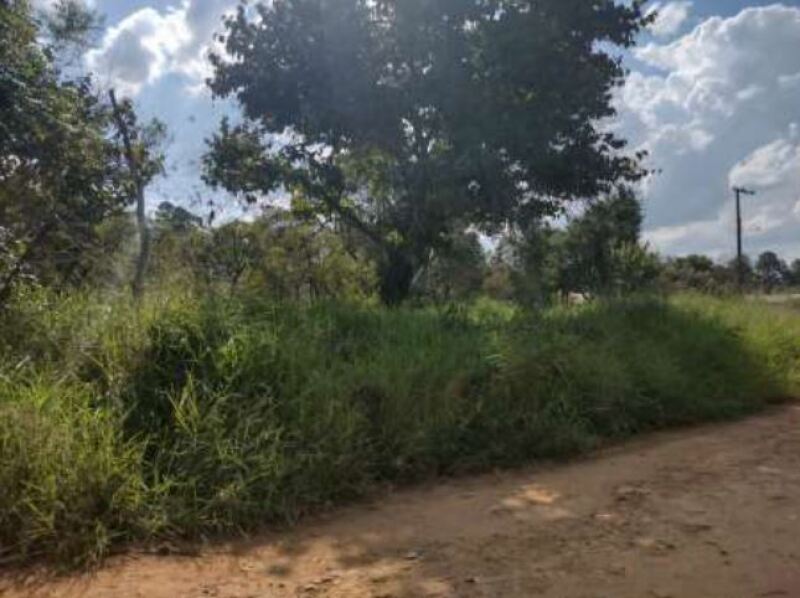 LOTE 001 Terreno com área de 6.000m², Bairro do Pinhal, Vila Curuçá, Itapetininga/SP — foto 4