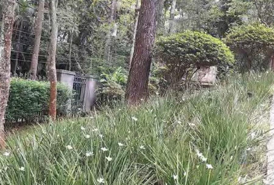 Casa Condomínio Alto Padrão Chácara Flora São Paulo/SP — foto 4