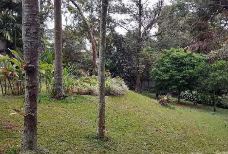 Casa Condomínio Alto Padrão Chácara Flora São Paulo/SP — foto 5