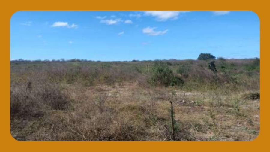 Gleba de Terras, com a Área Remanescente de 239.546,21 M², Localizada no Sítio Batinga, S/n, Zona Rural, Araripína/pe. Contém Uma Casa em Ruinas e Uma Cisterna de Concreto..