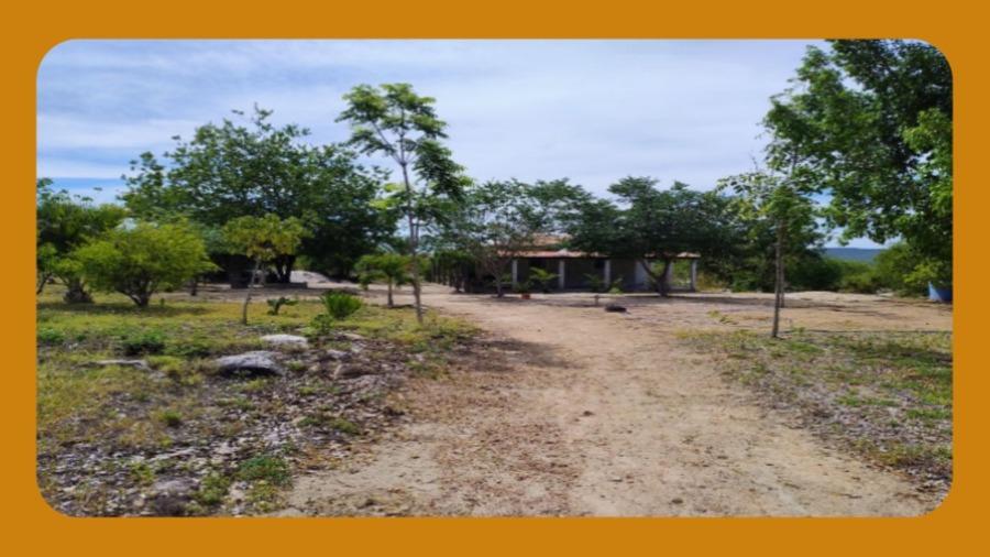 Imóvel Rural Denominado Umburanas, Encravado na Propriedade Itapuru, Localizado no 2º Distrito do Município de Sertânia/pe, com 76,37 Hectares.__