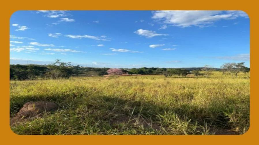 Terreno Não Edificado e Sem Benfeitoria, Confrontando com a Estrada Municipal Bauru-pirantiniga, Bauru/sp. Área Total de 3.115,70 M².__