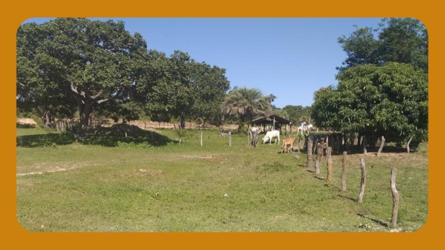 Área de Terras Localizada no Lugar Denominado Fazenda Larga, Antiga Fazenda Ema, no Lugar Denominado de Catulé e Viadinho, Distrito de São Joaquim, Januária/mg, com 420 Hectares, Segundo o Rgi.--