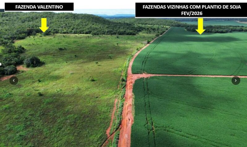 Lote 001 Imóvel Rural com Área de 1.899,2700has, "Fazenda Valentino", em Rosário Oeste/MT