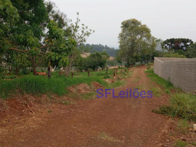 Matrícula Nº 4240 – Registro de Imóveis de Cantagalo - PR — foto 5