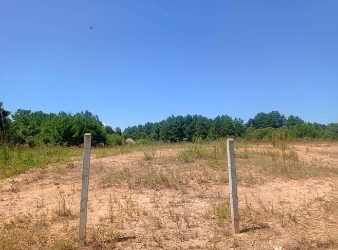 Terreno 15.582,69 M², Na Rodovia Br-280, S/n, Bairro Bela Vista, Em Rio Negrinho/ Sc. — foto 3