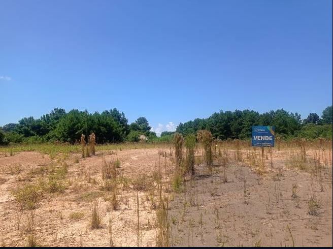 Terreno 15.582,69 M², Na Rodovia Br-280, S/n, Bairro Bela Vista, Em Rio Negrinho/ Sc. — foto 4