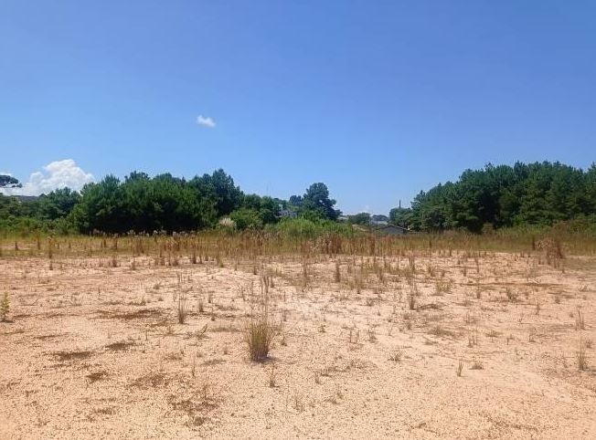 Terreno 15.582,69 M², Na Rodovia Br-280, S/n, Bairro Bela Vista, Em Rio Negrinho/ Sc. — foto 5