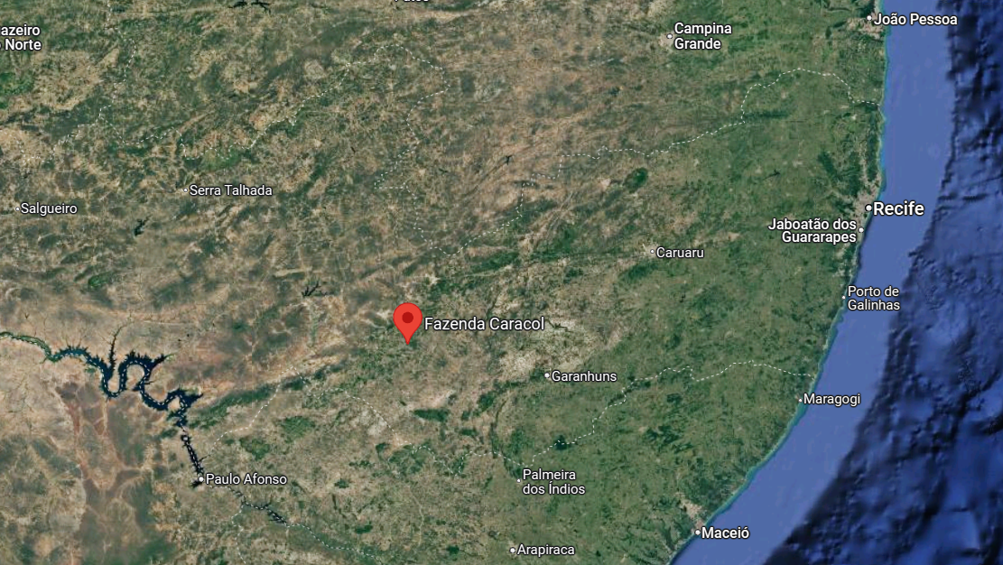 Fazenda - Campo De 112,91 Ha - Município De Buíque/pernambuco