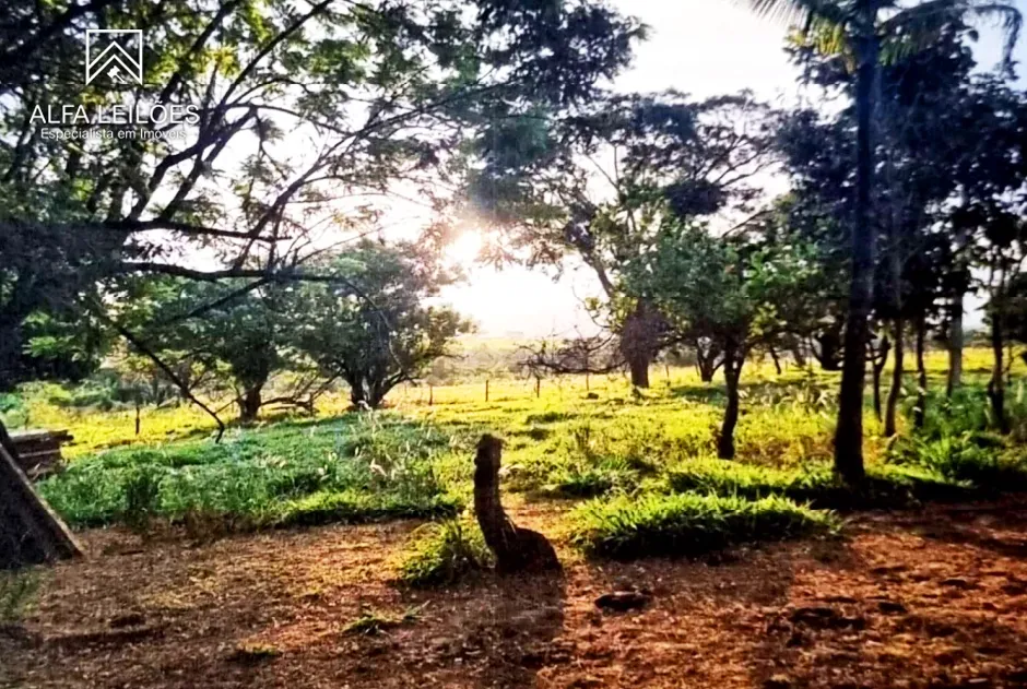 Leilão de Fazenda em São José do Rio Preto (SP) — foto 2