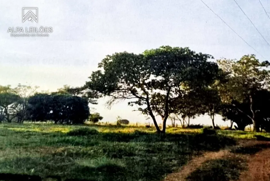 Leilão de Fazenda em São José do Rio Preto (SP) — foto 4