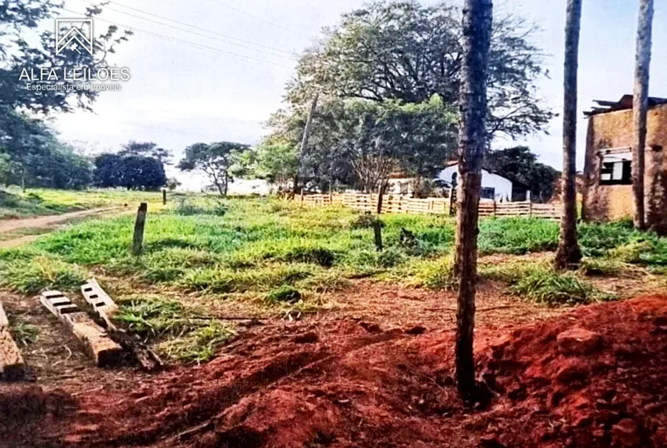 Leilão de Fazenda em São José do Rio Preto (SP) — foto 5
