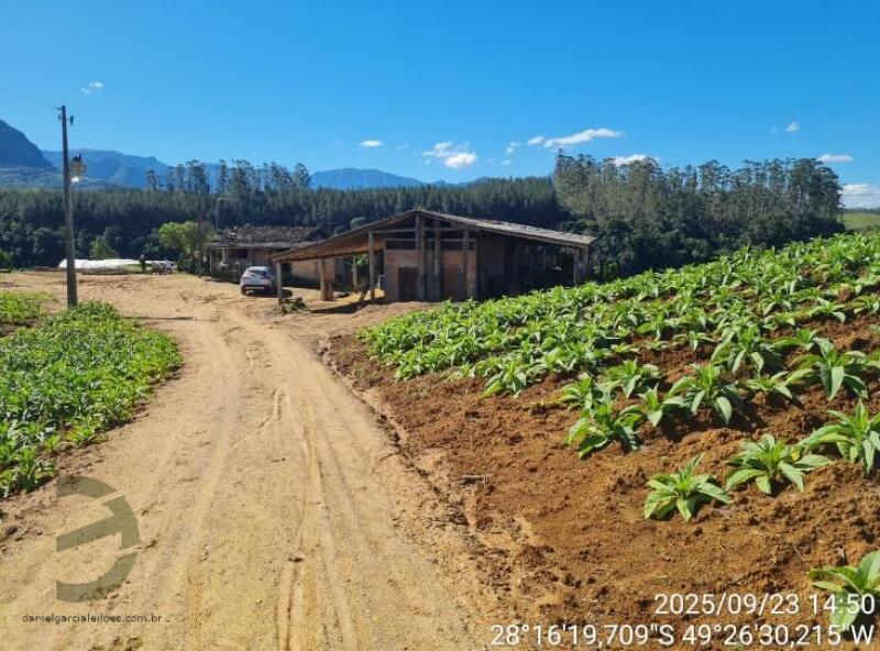 LOTE 018 Imóvel