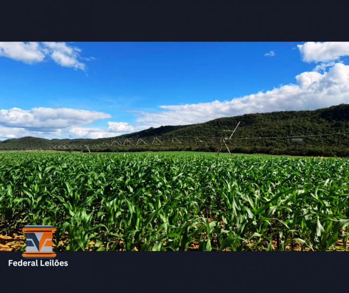 Imóveis Rurais Aberto — Lote Nº