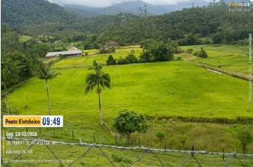 Área Rural C/ 11,2 Hectares - Ascurra / Sc — foto 2