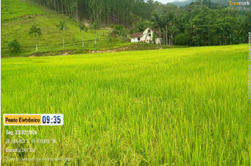 Área Rural C/ 11,2 Hectares - Ascurra / Sc — foto 3